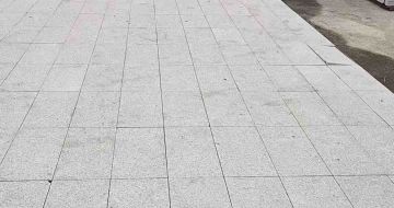 南平芝麻白地铺案例