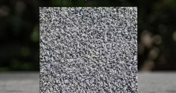 南平 芝麻黑荔枝面