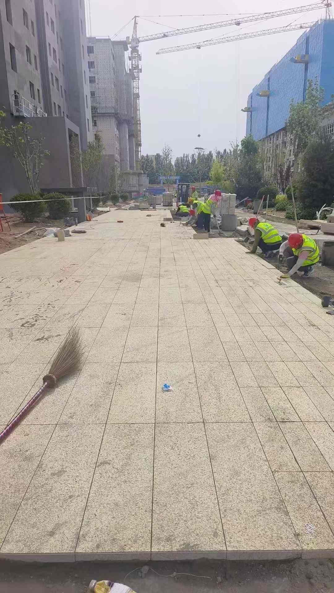 南平黄金麻荔枝面地铺案例